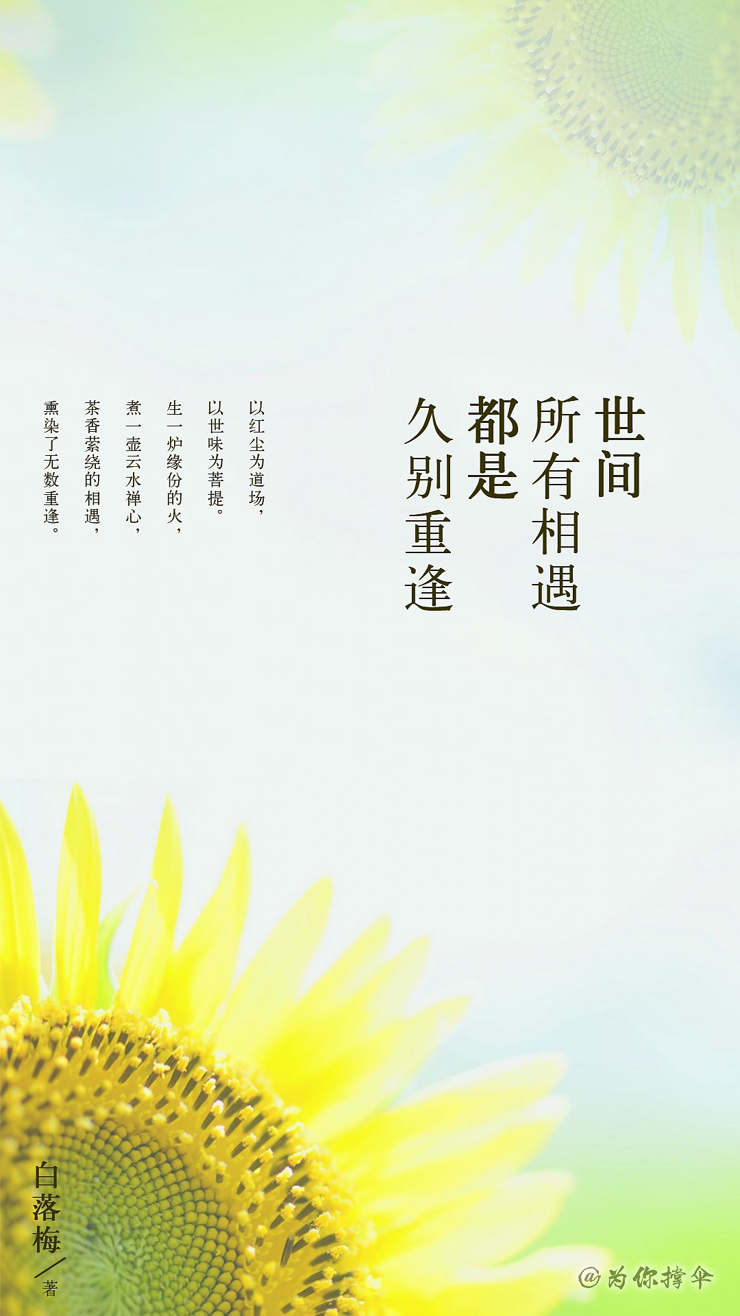 banner文字排版第十六期