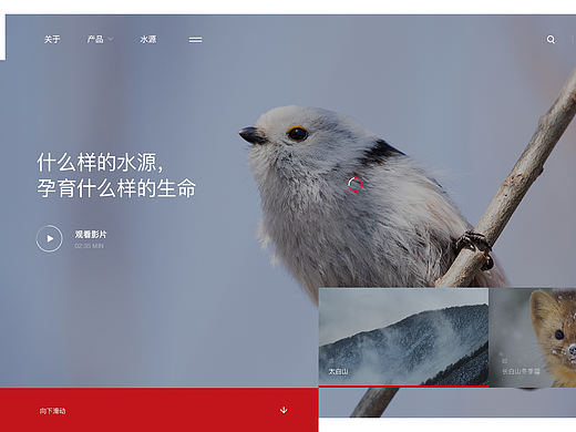 农夫山泉企业品牌官网设计