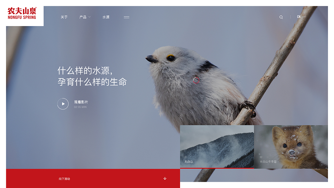 农夫山泉企业品牌官网设计（图ZMjc0NzIzNTMy） - 企业官网 - 站酷设计师奋斗的三维蚂蚁原创素材 - 站酷ZCOOL