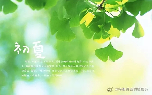 字体帮第484篇