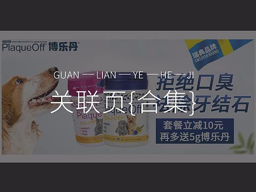 关联页