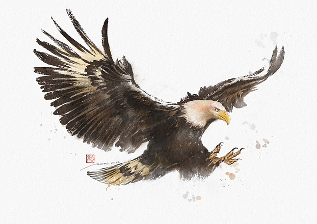 水彩插画|小动物篇