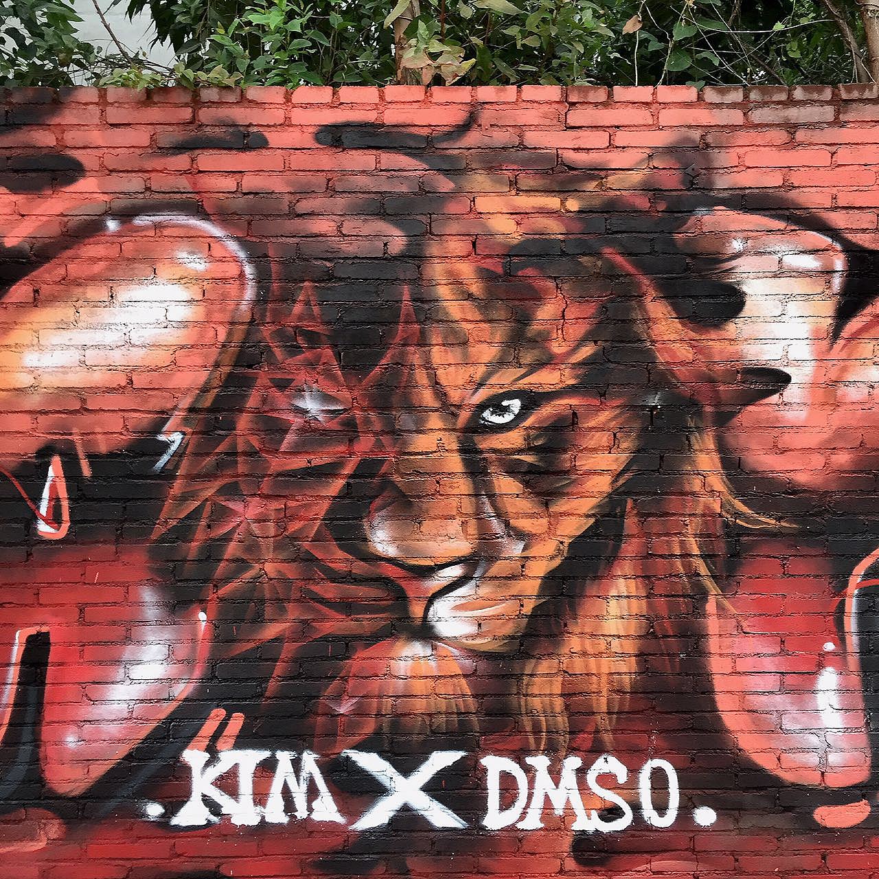 KIMSANZ X DMS 2016INDONGGUAN