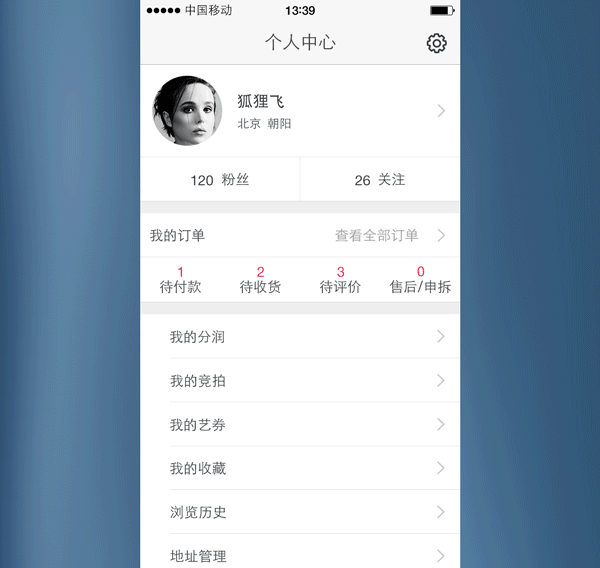 原生的电商类APP 公司的项目