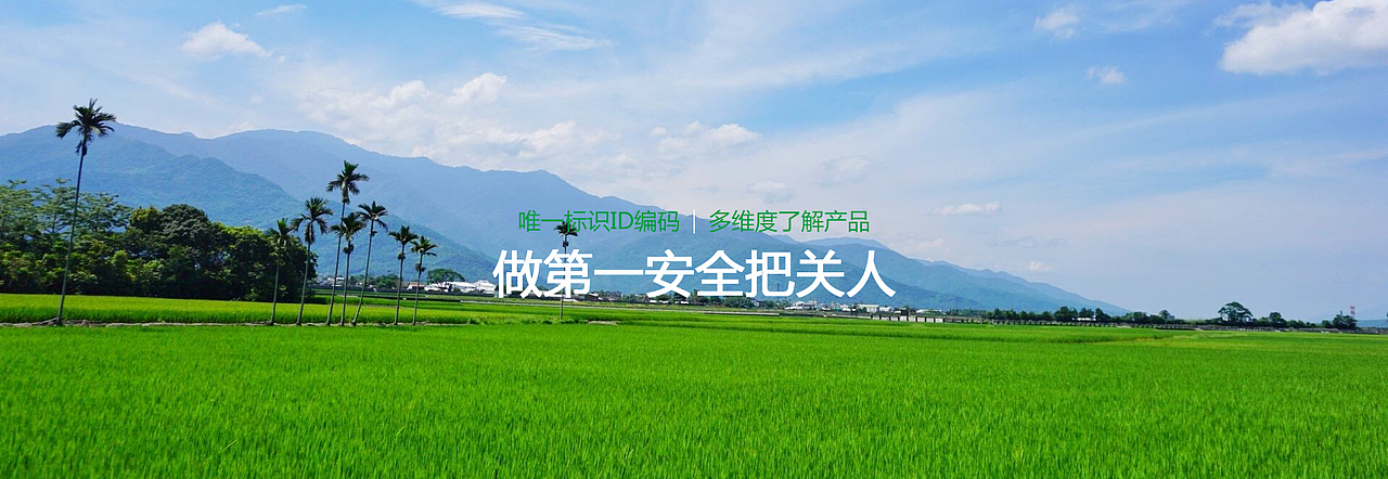 乡政府网页banner设计