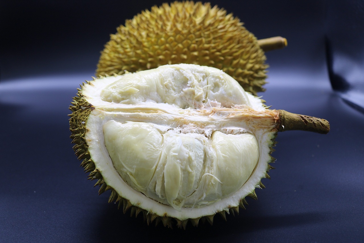 老男人果品老挝猫山王苦咖菲猫榴莲