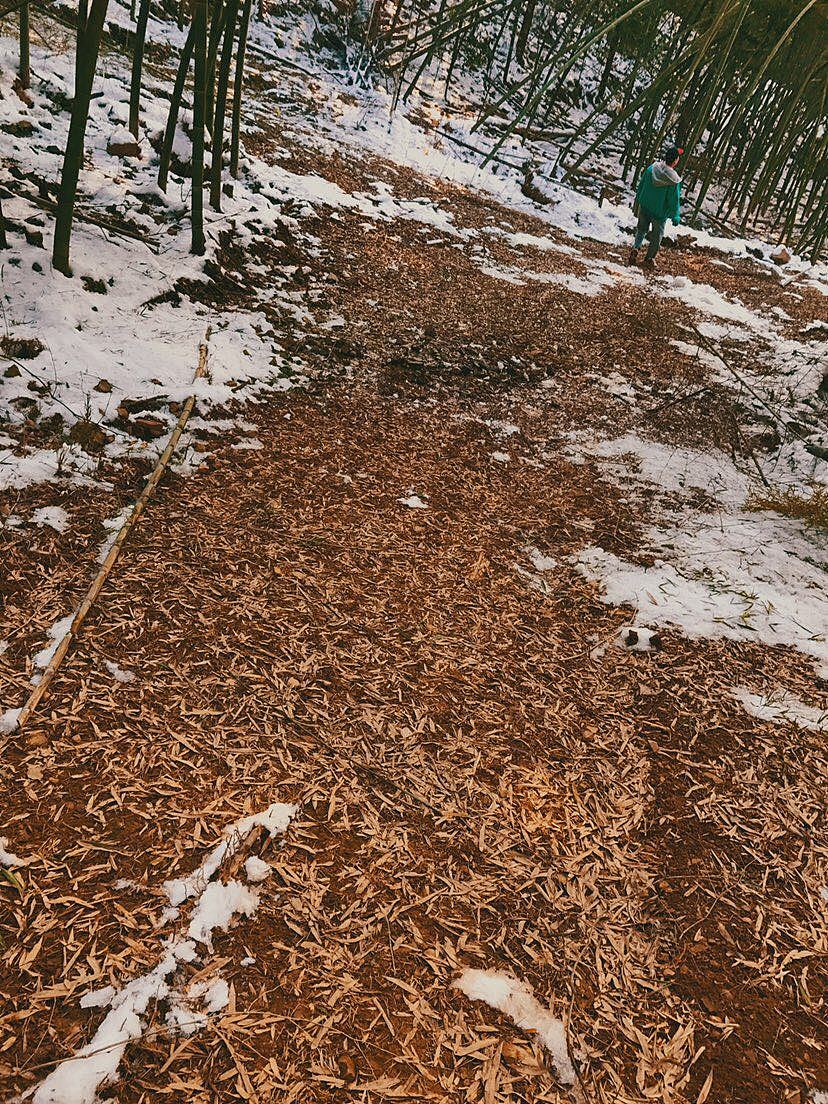 soul瞬间[6]（图ZMTA1MTY3NTcy） - 风光摄影 - 站酷设计师任意门科技原创素材 - 站酷ZCOOL