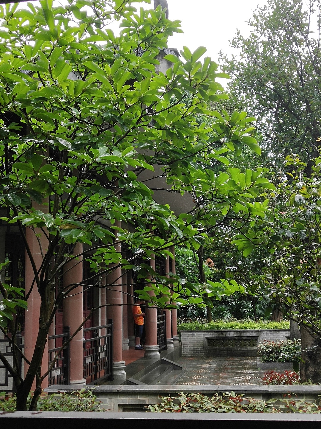 花-植 ❀2（图ZMjI4NzkwMzQ0） - 产品摄影 - 站酷设计师紫月琉璃香原创素材 - 站酷ZCOOL