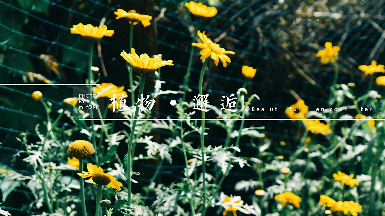 小园一隅（图ZODIwMTE0MzI=） - 风光摄影 - 站酷设计师TiTit安原创素材 - 站酷ZCOOL