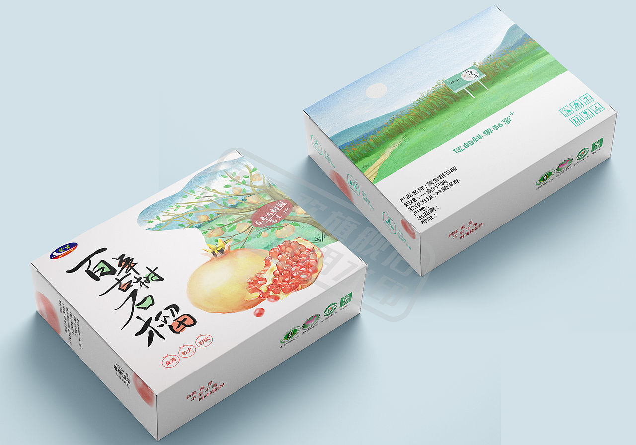石榴包装（图ZMjA4ODM0OTIw） - 包装 - 站酷设计师宅喜欢设计原创素材 - 站酷ZCOOL
