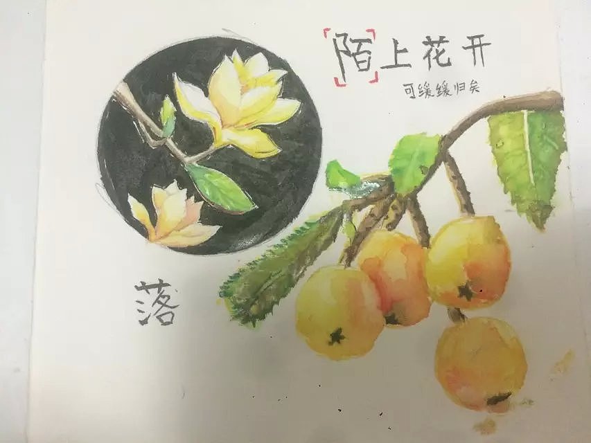 清新（图ZMjk3NTYwODg=） - 创作习作 - 站酷设计师佐小陌原创素材 - 站酷ZCOOL