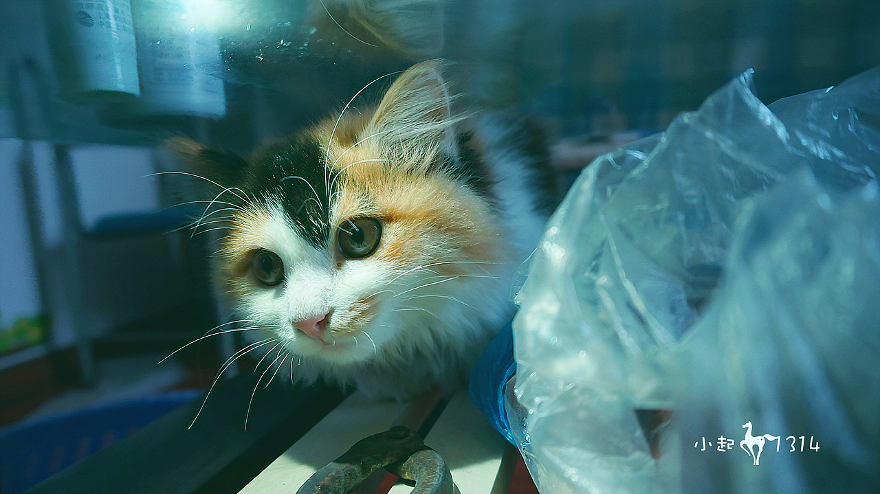 调皮的小起,这是不是就是你的世界