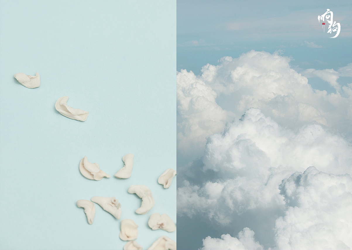 美食摄影|哈尔滨响狗商业摄影《樟子松》山珍 木耳（图ZMTExNDQ3MjM2） - 产品摄影 - 站酷设计师RoaringDog原创素材 - 站酷ZCOOL