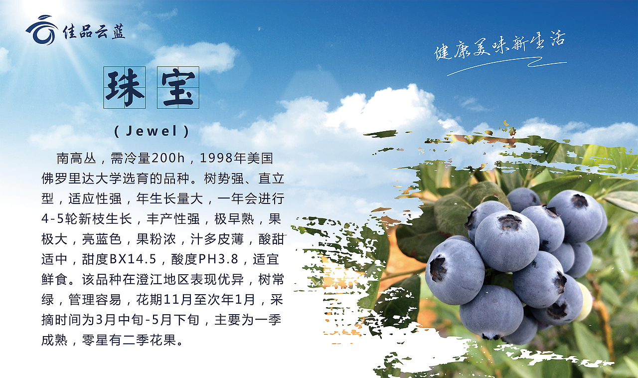 展板（图ZMTQzNDczODIw） - 宣传物料 - 站酷设计师呆呆小萌原创素材 - 站酷ZCOOL