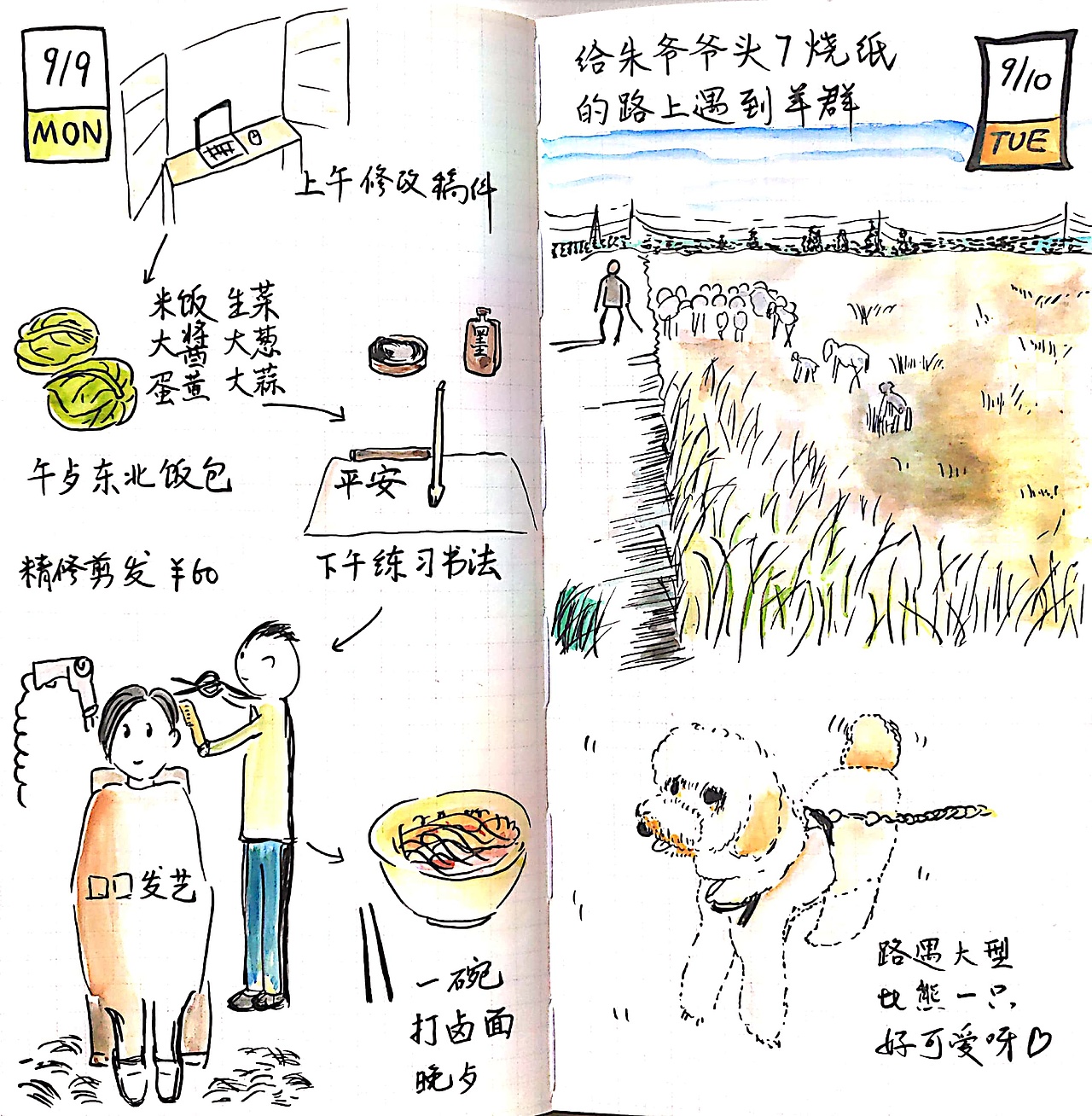 春楠手账2019(一)