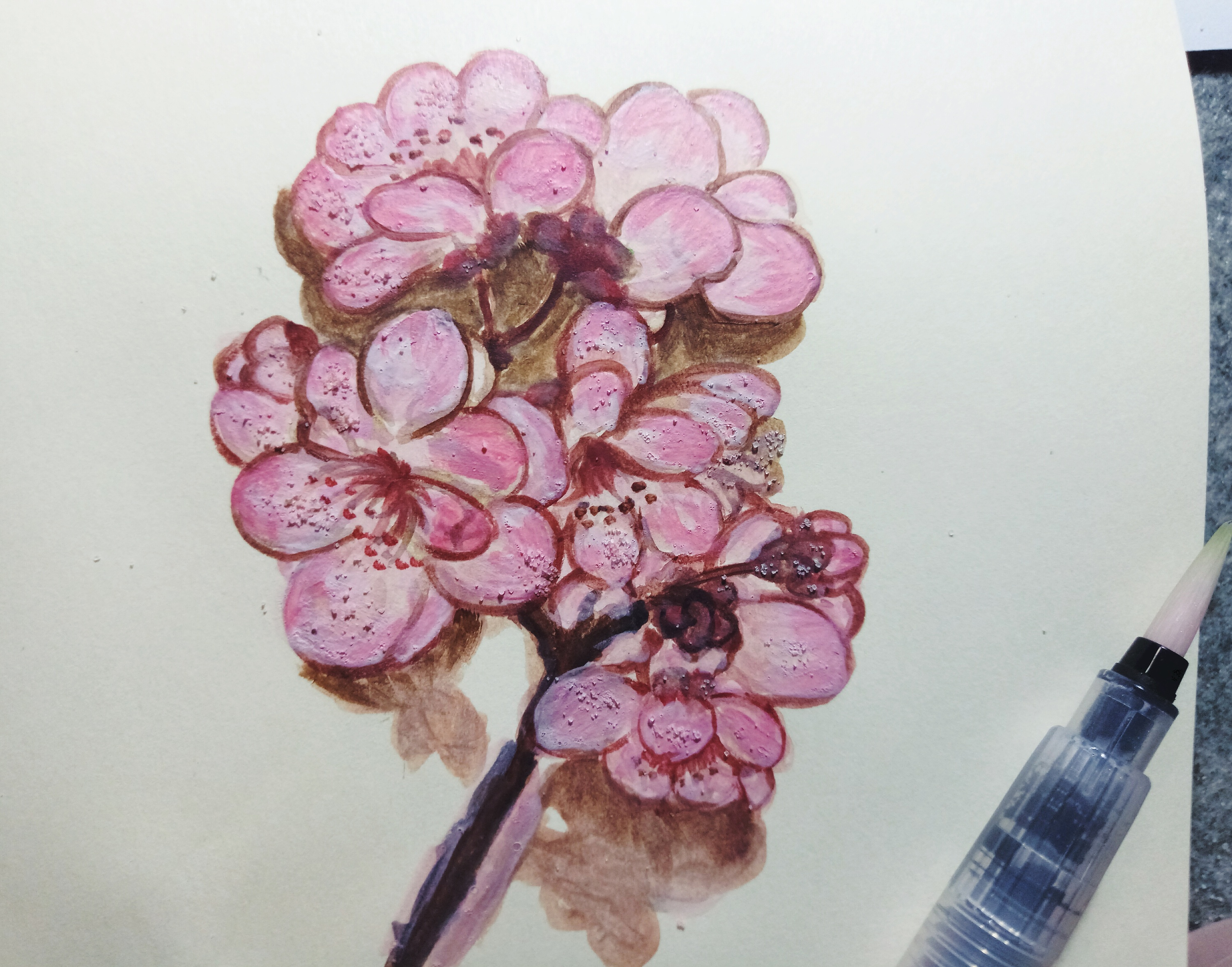 水粉开堂课-梅花