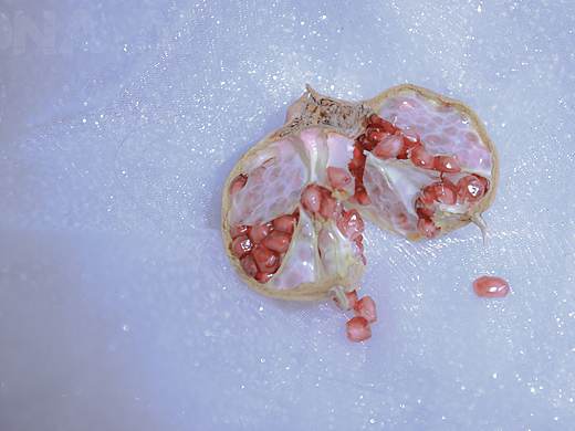 11月份的石榴（個(gè)人主頁(yè)-ZNDAyMjc1ODQ=） - 產(chǎn)品攝影 - 站酷設(shè)計(jì)師璦姑娘原創(chuàng)素材 - 站酷ZCOOL