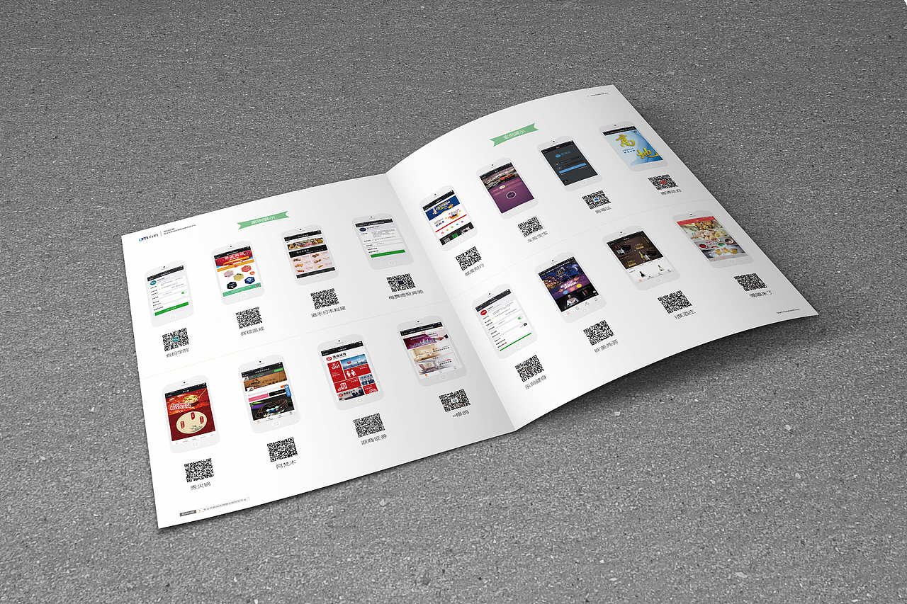 一些VI折页与手提袋