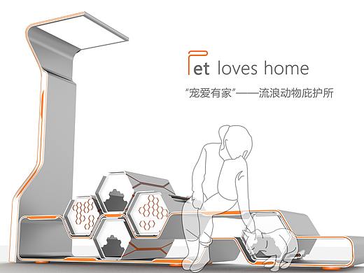 Pet loves home  "宠爱有家"—— 流浪动物庇护所
