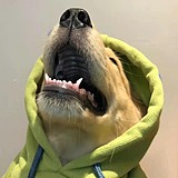 蓝梦恭送大帅的头像