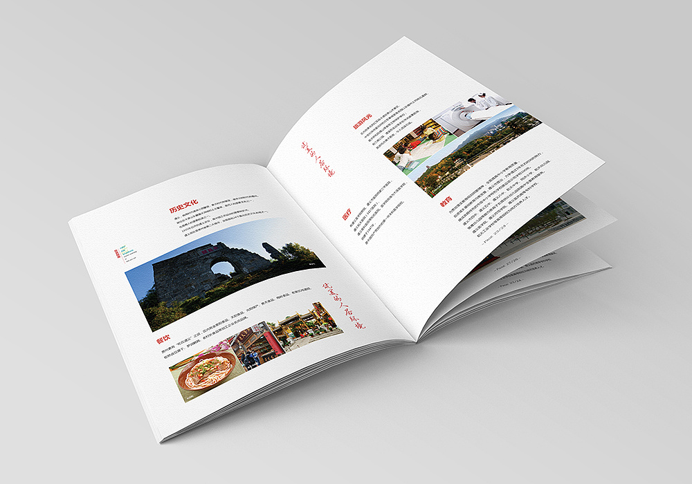 政府开发区招商手册设计