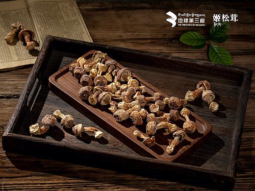 菌类合集| 平面拍摄