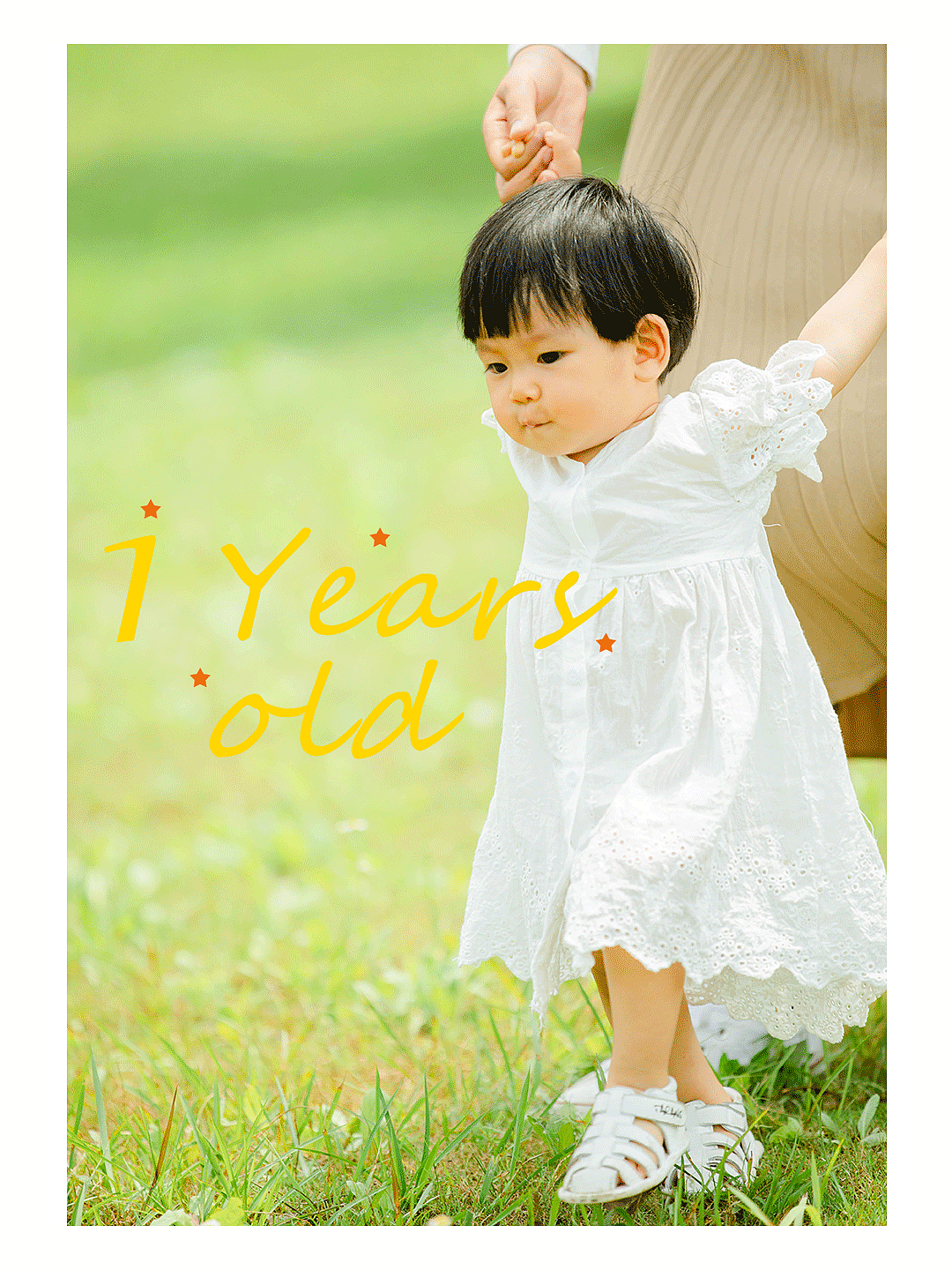 #皮皮的一周岁#