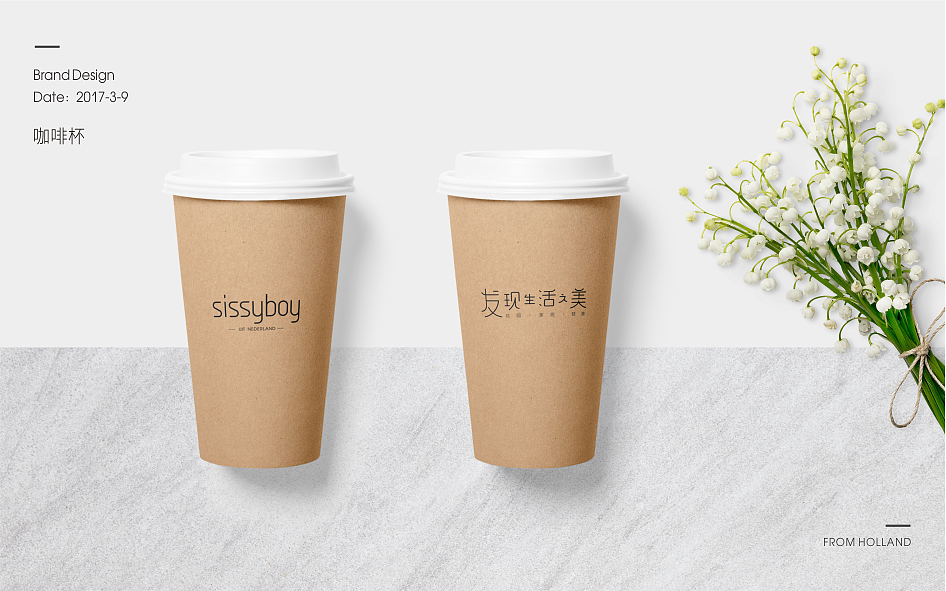 品牌升级飞机稿！vi设计/品牌设计！（图ZNzUzMTQwOTI=） - 品牌 - 站酷设计师风云岁月8341原创素材 - 站酷ZCOOL