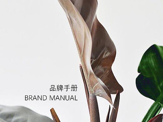 品牌手册