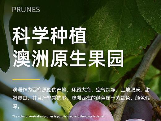 西梅详情（个人主页-ZNTc3MTM4ODQ=） - 电商 - 站酷设计师Jessi_L原创素材 - 站酷ZCOOL