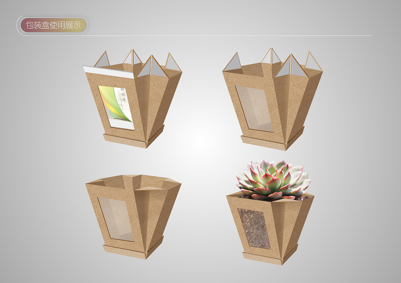 创意多肉植物包装设计 - 原创作品 - 站酷(zcool)