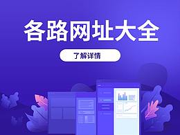 网站
