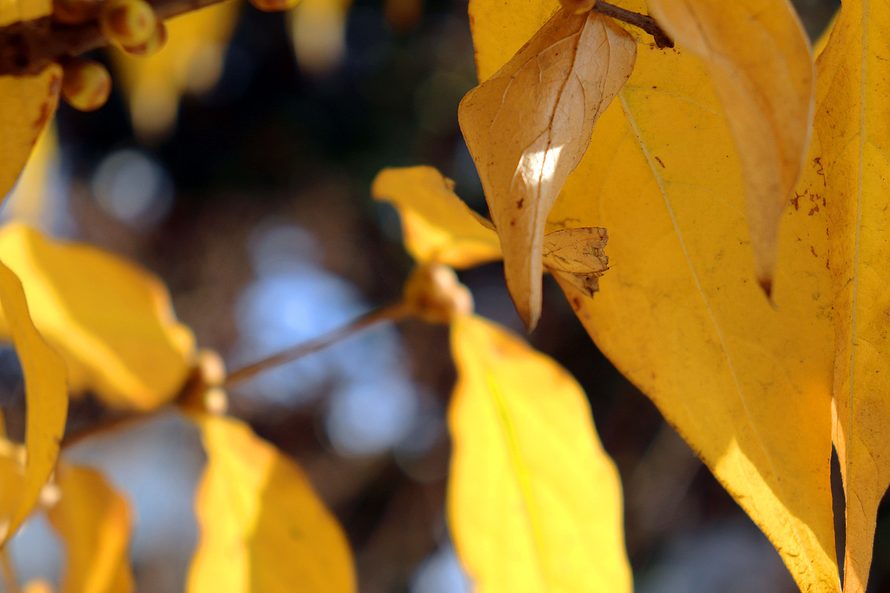 随手拍的风光（图ZMTgyMjAzNzQw） - 产品摄影 - 站酷设计师弗如Ru原创素材 - 站酷ZCOOL