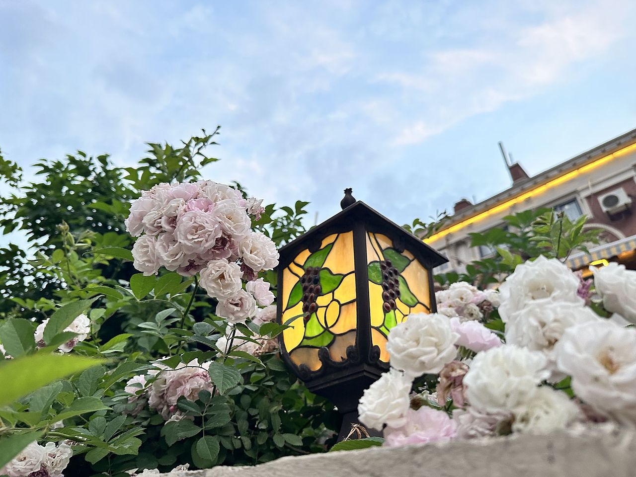 初夏的天津五大道