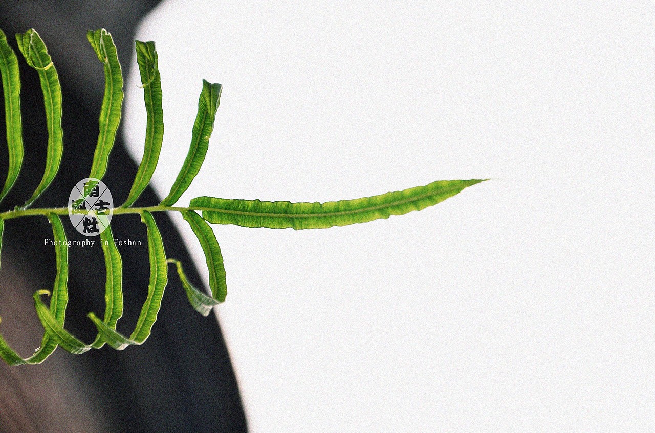 南风古灶（图ZMzUwNDAzMDA=） - 风光摄影 - 站酷设计师陈劲烘原创素材 - 站酷ZCOOL