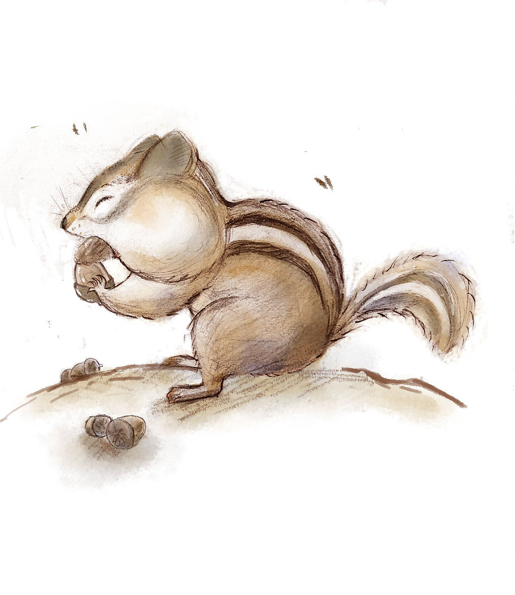 小松鼠（图ZMTMxNjEyNDEy） - 创作习作 - 站酷设计师左一焦了原创素材 - 站酷ZCOOL