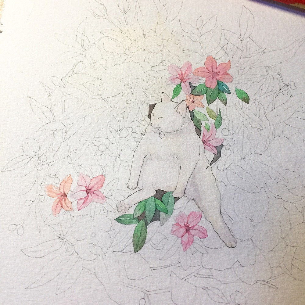 喵喵花花草草～