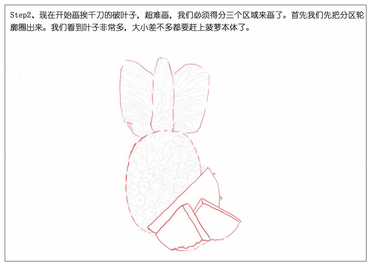 【驴大萌彩铅】手绘24节气水果图鉴 谷雨菠萝