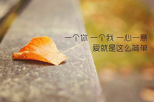 红尘有你我很幸福