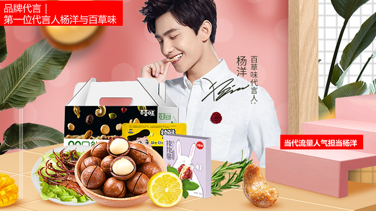 百草味2019品牌简介