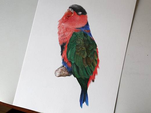 睡一下的鳥（個(gè)人主頁(yè)-ZMzM4MDY5NDg=） - 繪畫 - 站酷設(shè)計(jì)師卑鄙的噗噗原創(chuàng)素材 - 站酷ZCOOL