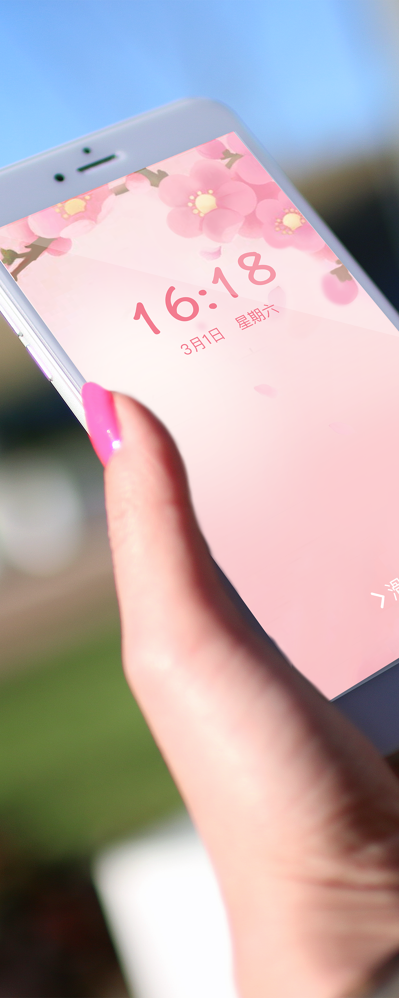 浪漫樱花手机主题设计