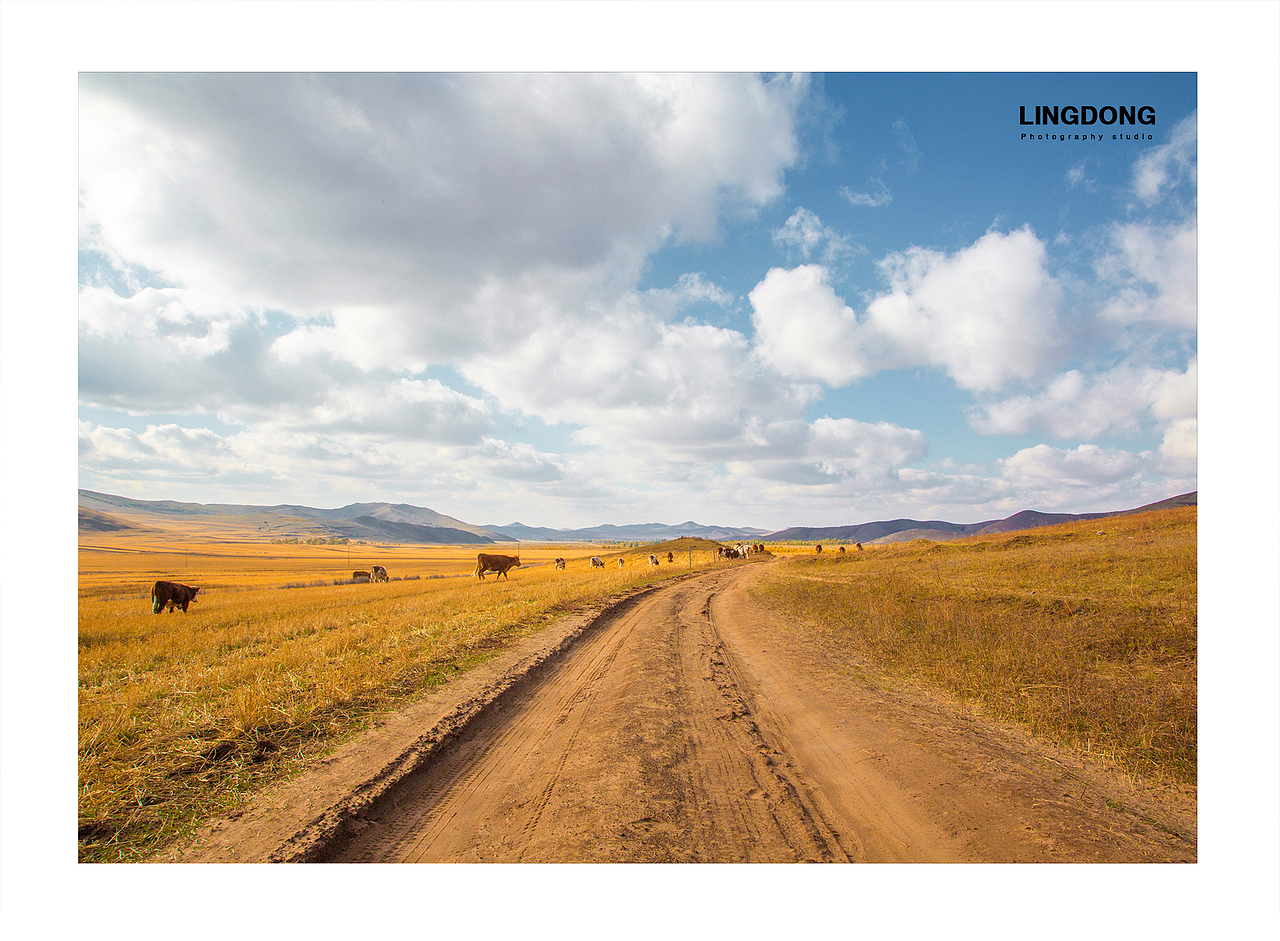 十月坝上外拍（图ZNjEwNTY5MTY=） - 人像摄影 - 站酷设计师摄影师刘杨原创素材 - 站酷ZCOOL