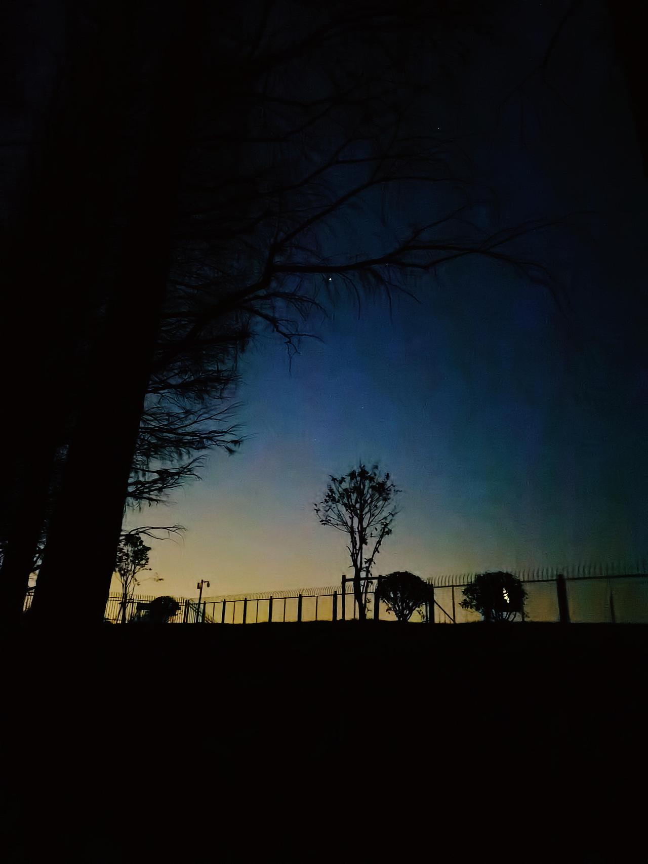 玉兰花和爵士乐的夜晚