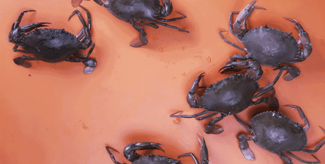 光本studio——你都不知道制作一部让甲方满意的片子有多难！【集咖啡焗饭】（图ZNjc2OTEwODA=） - 短片 - 站酷设计师唐大王原创素材 - 站酷ZCOOL
