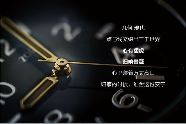 乐豪斯A4精英主张,现代智能化风格!