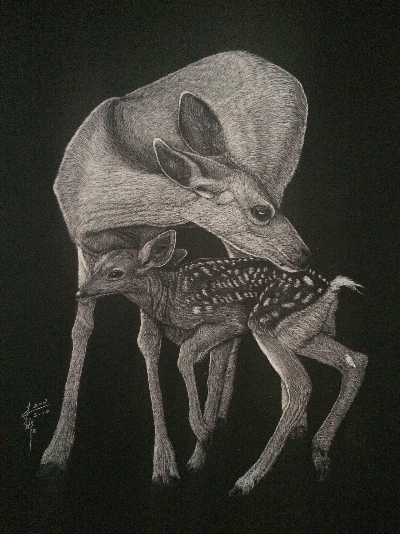 李子哥动物亲子系列刮画集（第一季）（图ZMTU3OTg5OTUy） - 绘画 - 站酷设计师李子哥原创素材 - 站酷ZCOOL
