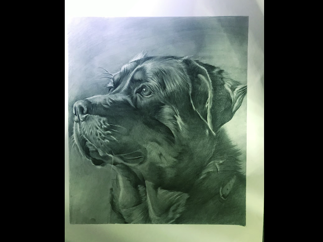我的一些手绘插画