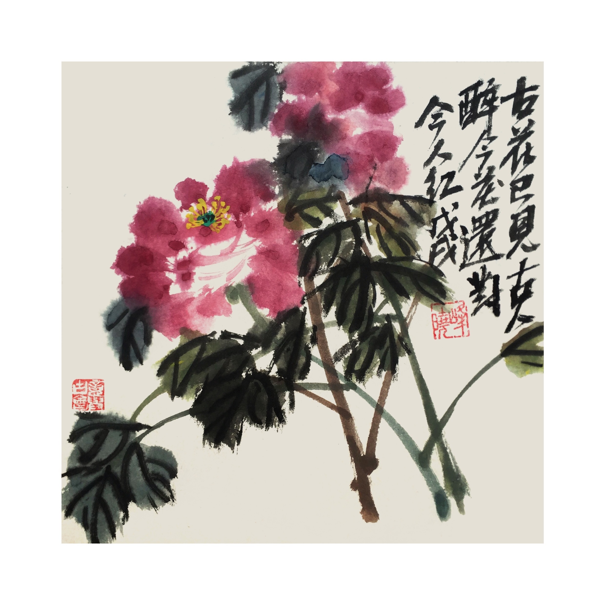 写意牡丹|纯艺术|国画|杨晓峰 - 原创作品 - 站酷 (zcool)