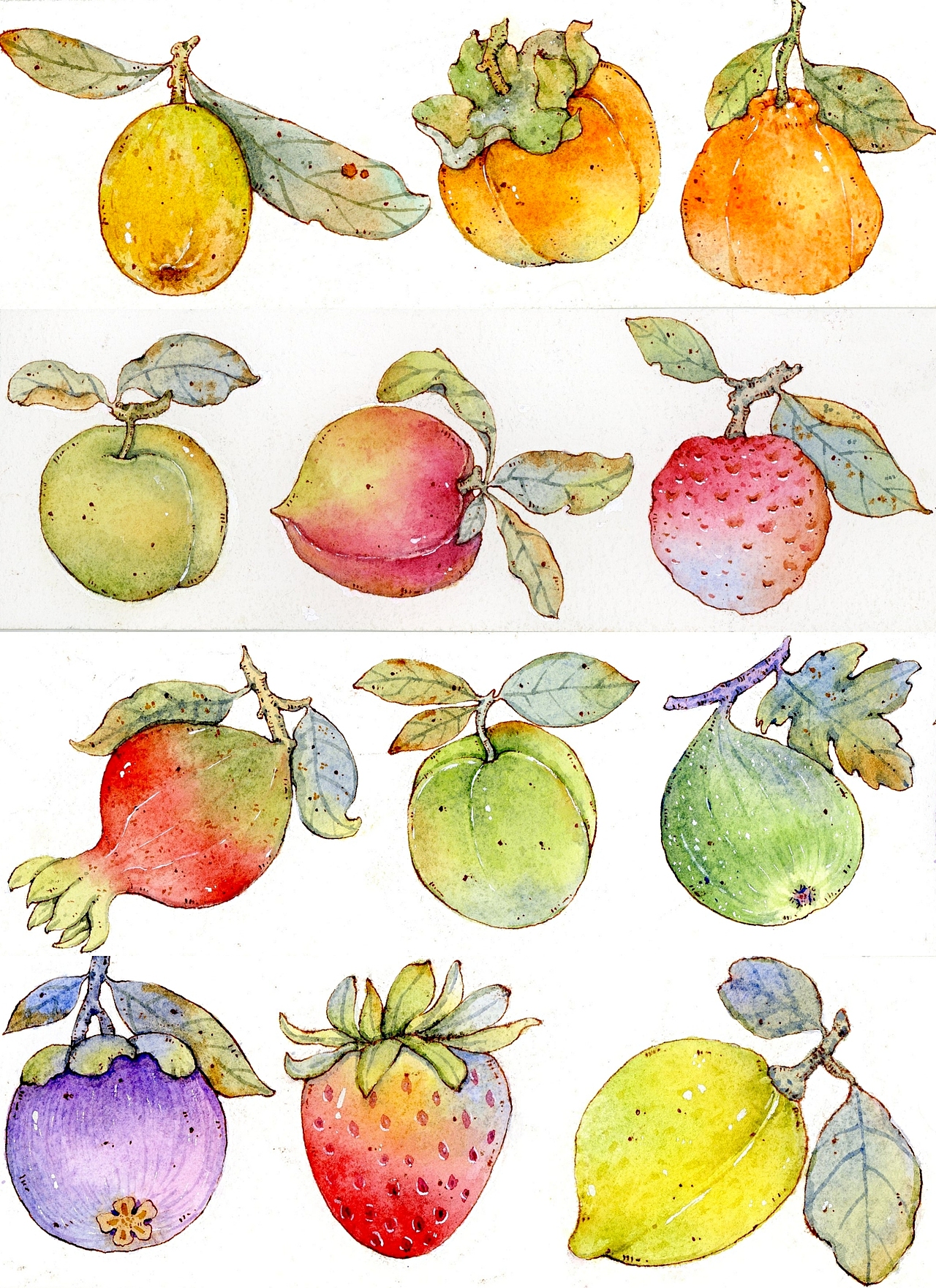 钢笔淡彩——各种水果!